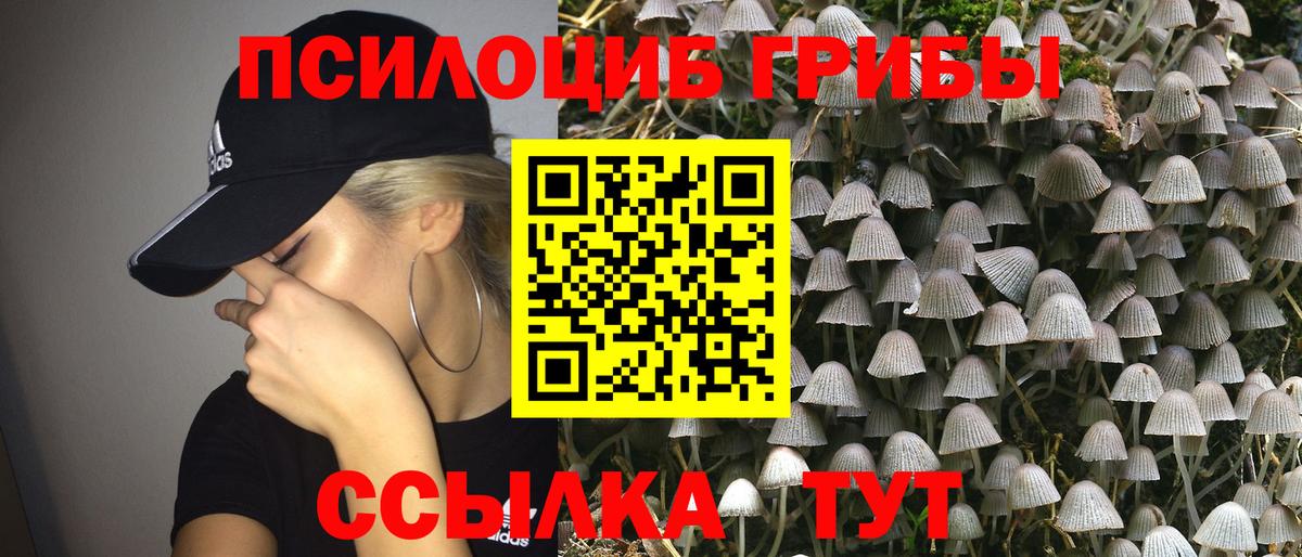 Котовск  Галлюциногенные грибы Magic Shrooms  Вход с VPN  Галлюциногенные грибы Magic Shrooms 